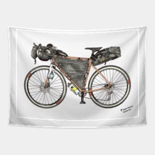 Tour Aotearoa 2020 - My Bikepacking Rig Tapestry