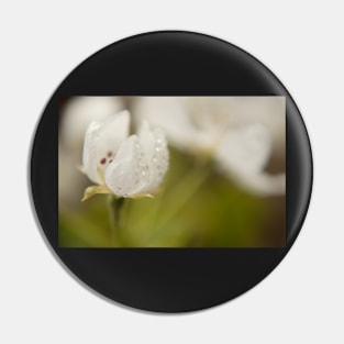 Pear Blossom Pin