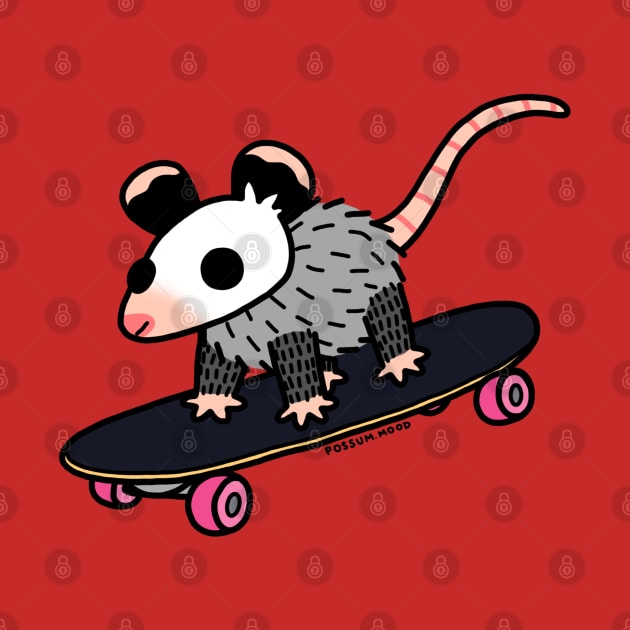 Sk8in by Possum Mood