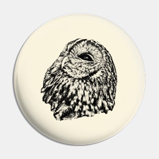 Tawny owl Pin