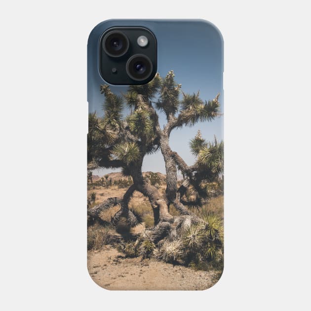 Joshua Tree Photography V2 Phone Case by Family journey with God