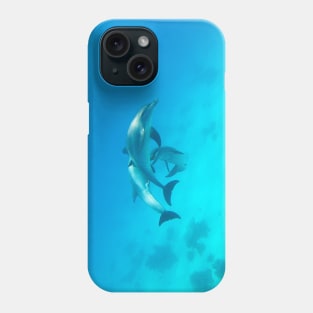 Dolphins Phone Case