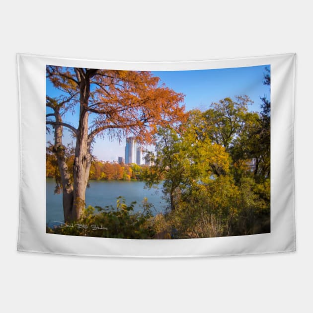 Austin In The Fall Tapestry by davidbstudios