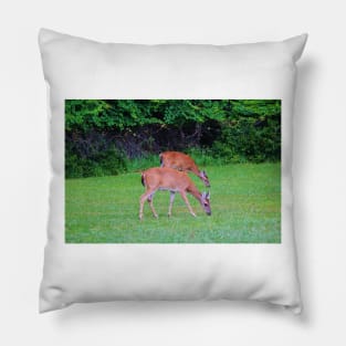 Twins Grazing Pillow