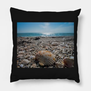 Sanibel Island Sea Shell Fort Myers Florida Pillow