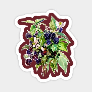 Blackberries Magnet