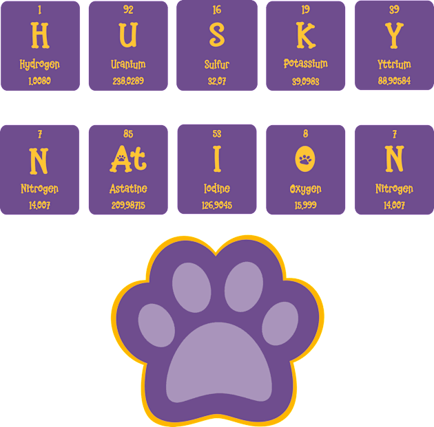 Husky Nation science fun Kids T-Shirt by Fun with Science