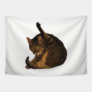 tabby cat funny meme cleaning his butt Tapestry