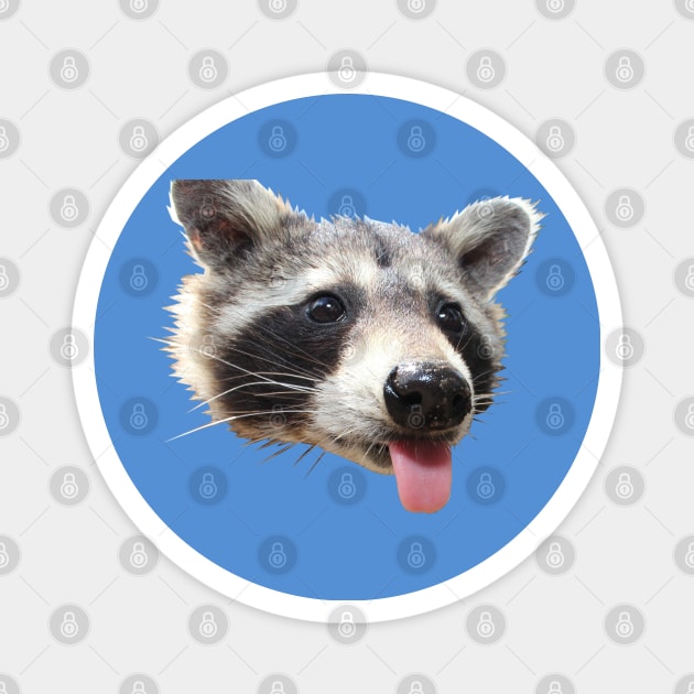 Funny clever sassy refridgerator magnet for women gift by Raccoon Society  USA – The Raccoon Society