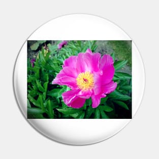 peony Pin