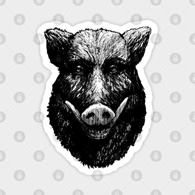 Wild Pig Magnet by Moryart