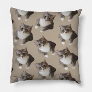 1980s Funny cute beige tan american wirehair cat Pillow