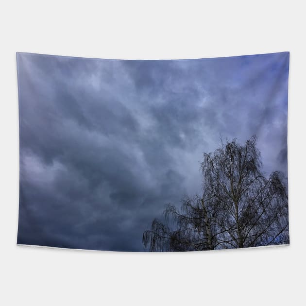 Tree and a Stormy, Cloudy Sky Tapestry by Ric1926