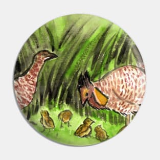 Prairie-chicken Grouse Family with Chicks Pin