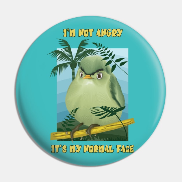 "I'm not angry! It's my normal face" Artwork for an angry funny bird Pin by Ghean