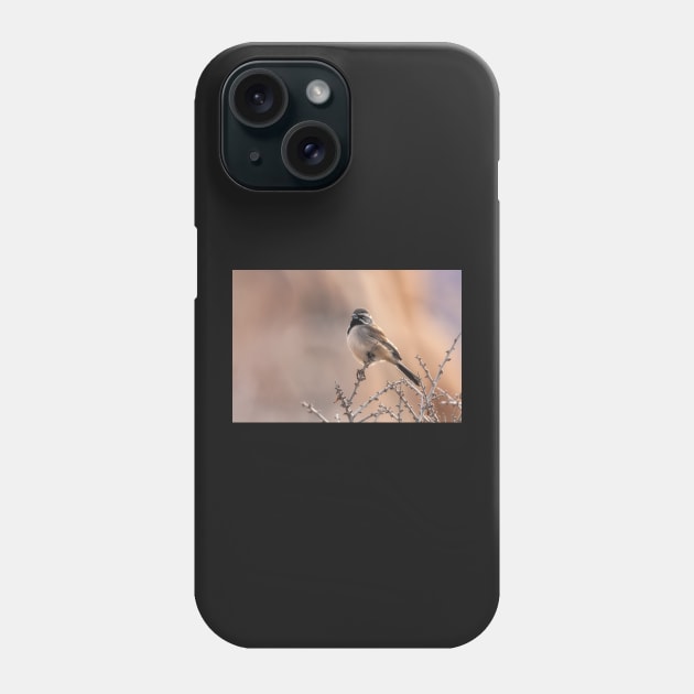 Black-Throated Sparrow Phone Case by jvnimages