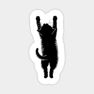 Hanging Cat Magnet