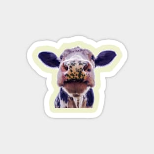 Purple Cow Illustration Magnet