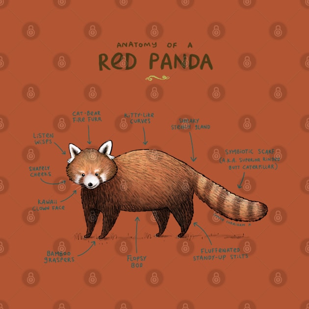 Anatomy of a Red Panda by Sophie Corrigan