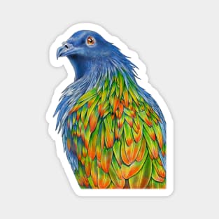 Nicobar Pigeon Magnet