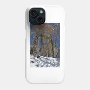 Snowy Trees on Monte Lussari Phone Case