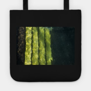 Small Fry Tote
