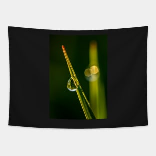 Water Bead on a Blade of Grass Tapestry