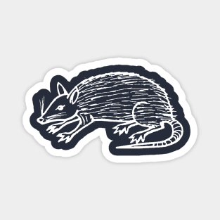 Opossum Magnet