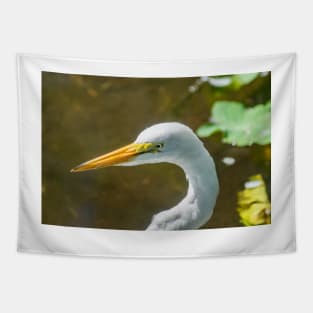 Great egret  in wildlife preserve Tapestry