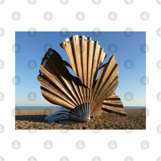The Scallop by Chris Petty