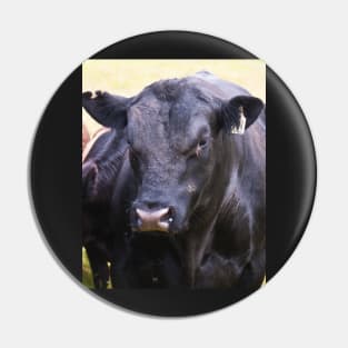 Angus Bull Pin