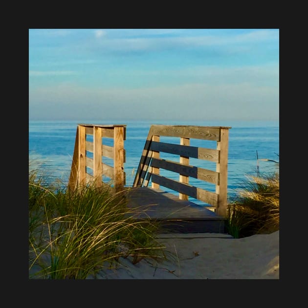 Magic hour on the beach in Cape Cod by Dillyzip1202