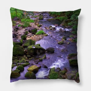 Forest stream Pillow