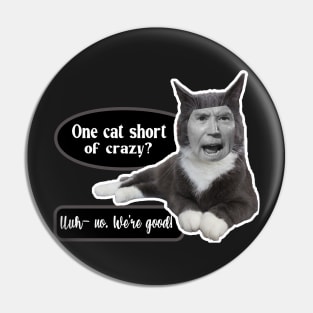 ONE CAT SHORT OF CRAZY UUH NO  ~ CAT STICKERS OF ANGRY CAT GRAY CAT FUNNY BIDEN MEME QUOTE Pin