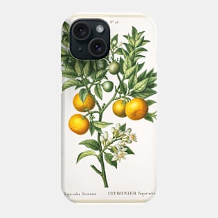 Bitter Sweet Oranges on a Branch Phone Case