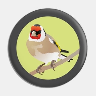 European Goldfinch Pin