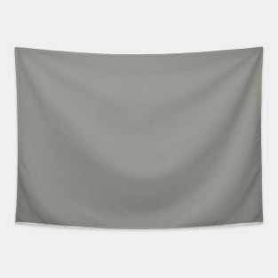 Solid Boulder Light Gray Monochrome Minimal Design Tapestry