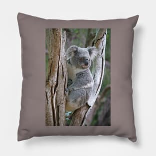 Bushland Treasure Pillow