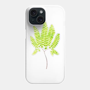 Northern maidenhair fern botanical illustration Phone Case