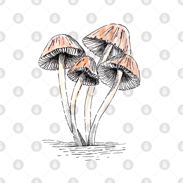 Sherbet mushrooms by ncprocter