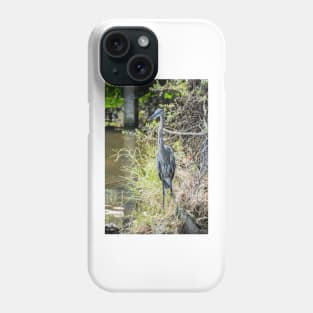 Great Blue Heron Phone Case