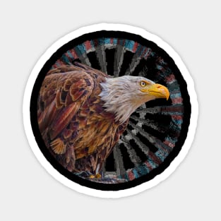 Bald Eagle Retro Circle Wheel Design Magnet
