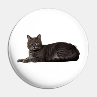 Baxter - Male Cat Pin