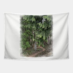 Hiking Trail Winding Through The Trees Tapestry