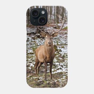 Red Deer In Woods Phone Case