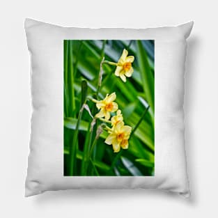 Daffodils Pillow