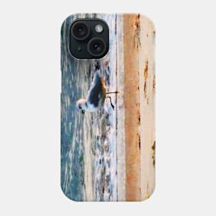 Seagulls - Seagull on Virginia Beach at Dawn Phone Case