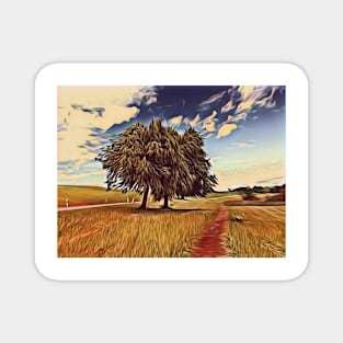 Trees along a footpath in the Swiss countryside Magnet