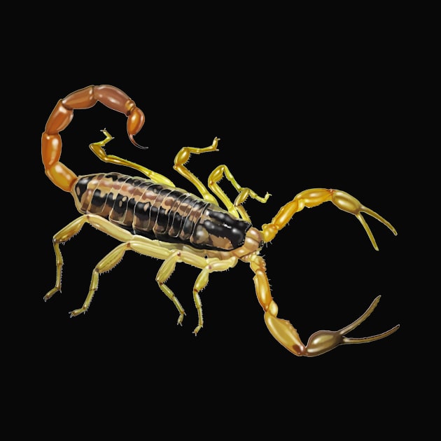 Pet Scorpion Purring on Your Shirt by John Himmelman