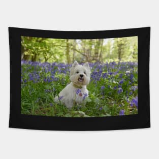 Westie in the bluebell woods Tapestry